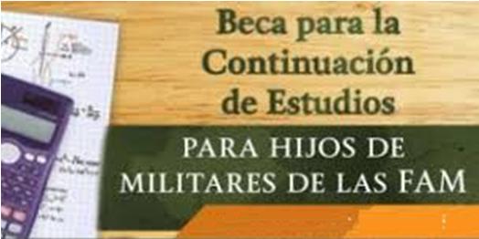 beca para la continuación de estudios