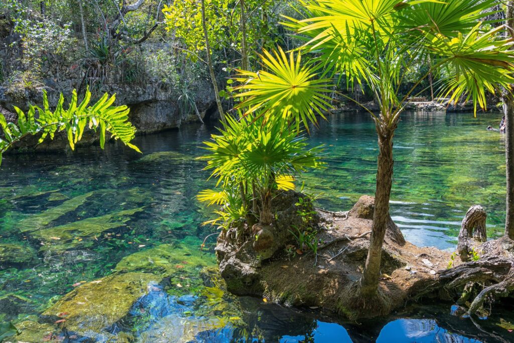 propiedad vacacional en mexico yucatan cenote