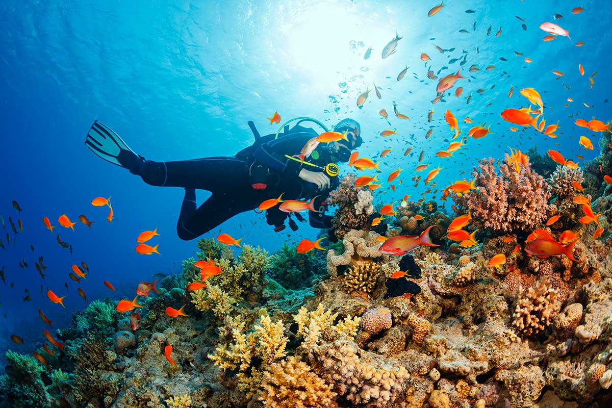 Snorkel en Los Cabos 