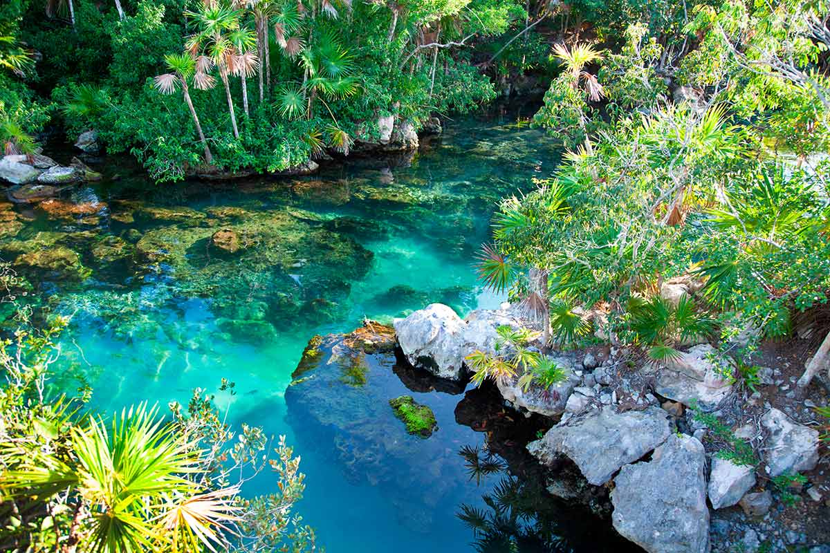 Actividades en la naturaleza en Cancún