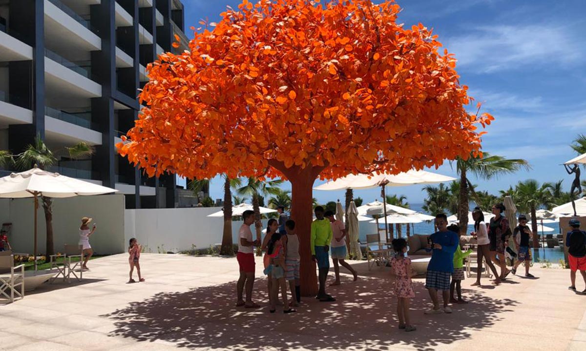 evento de semana santa en garza blanca los cabos