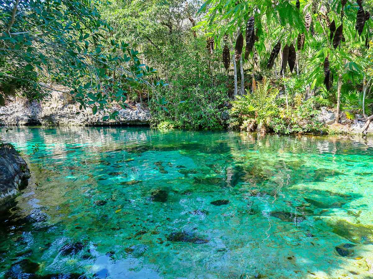 Cenote Jardín del Edén 