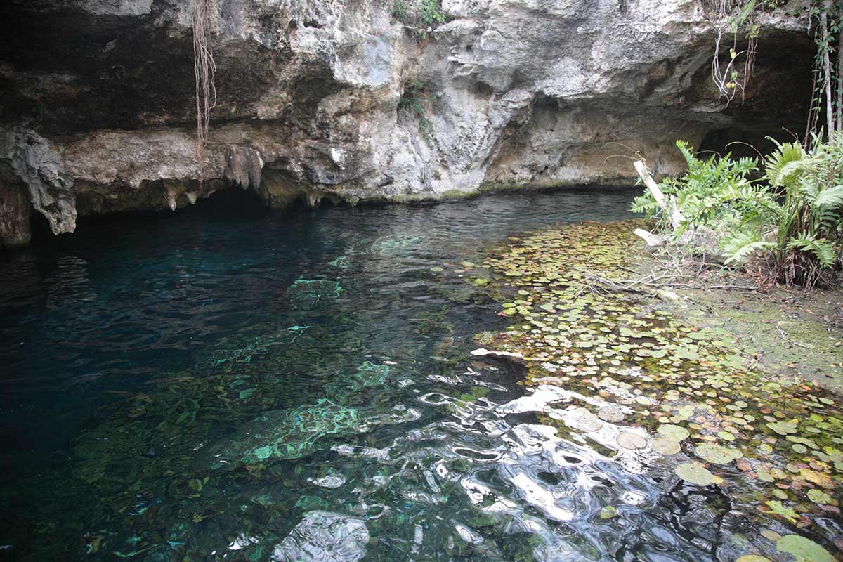 Visita este cenote al aire libre