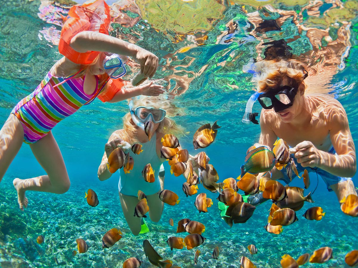 Cosas de vacaciones para hacer en Cancún