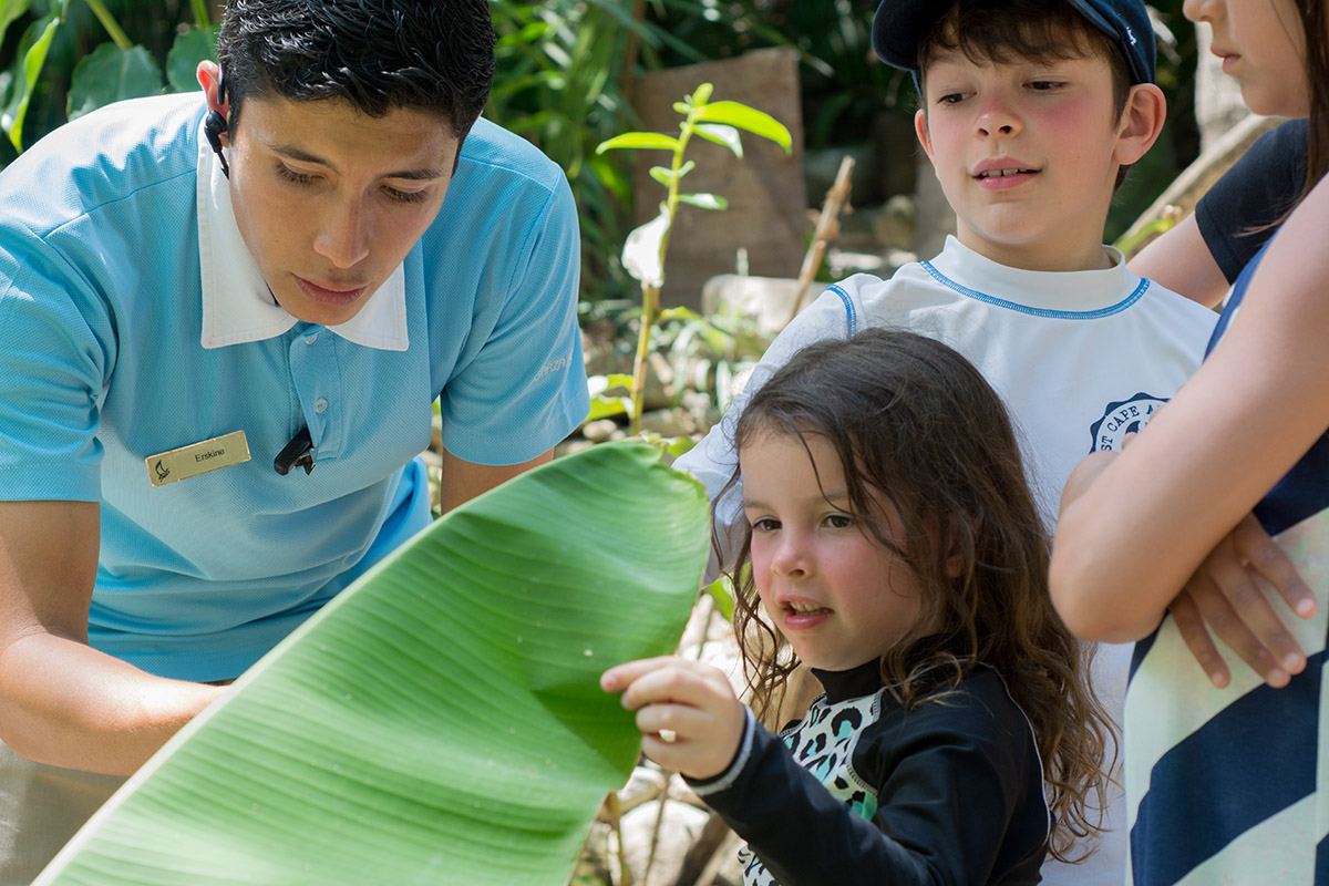 Espectáculos para Niños y Actividades de Verano en Garza Blanca Puerto Vallarta