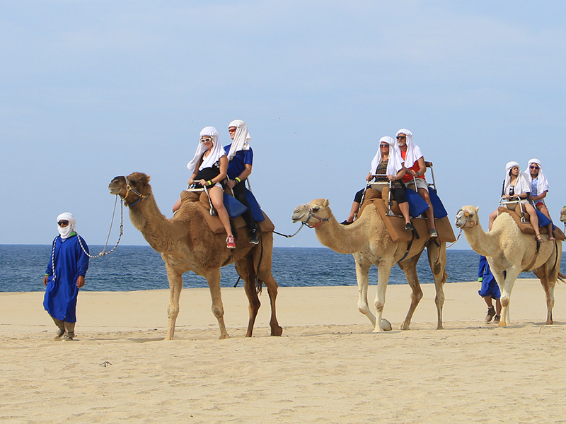 Cabalgatas en Los Cabos