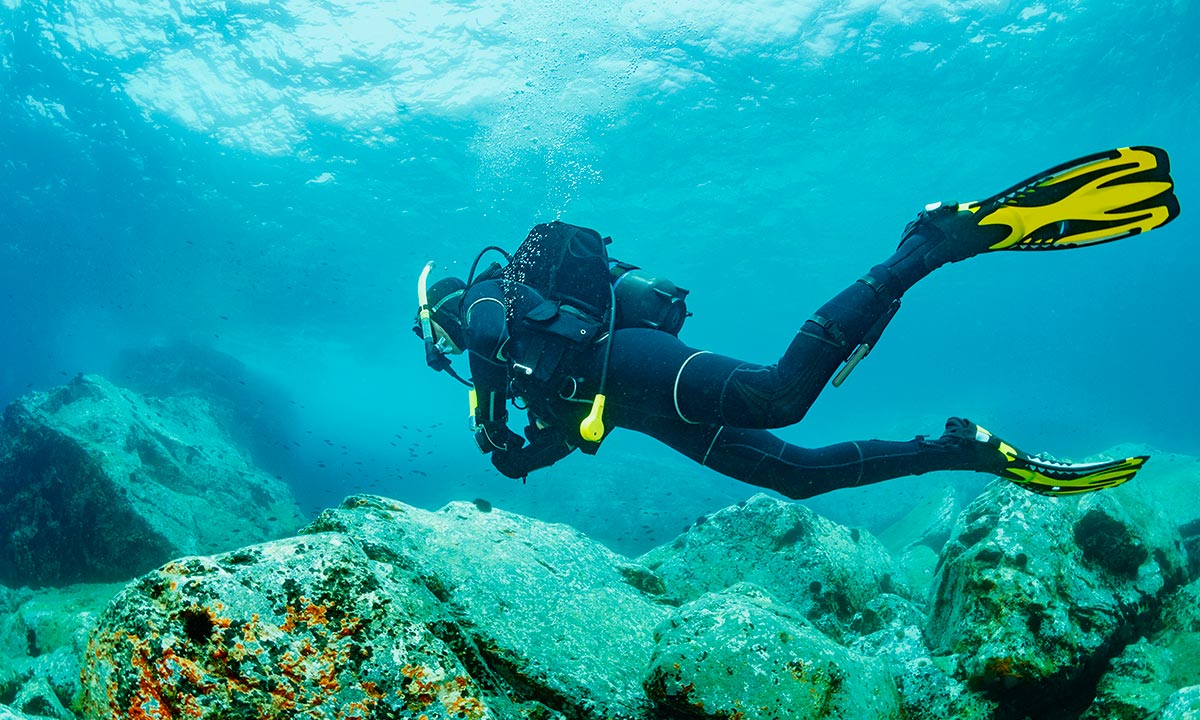 buceo-en-los-cabos