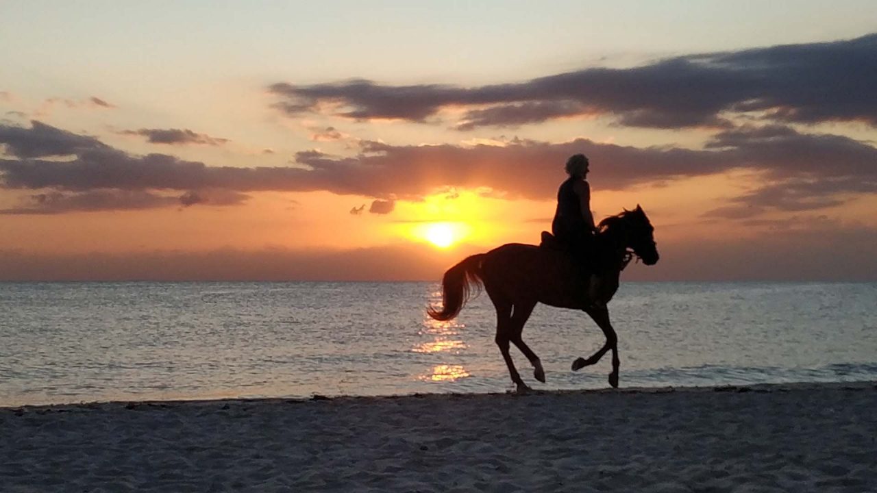 Cabalgatas en Los Cabos México