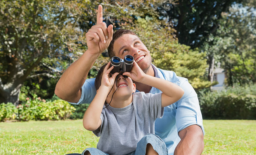 Tour de observación de aves