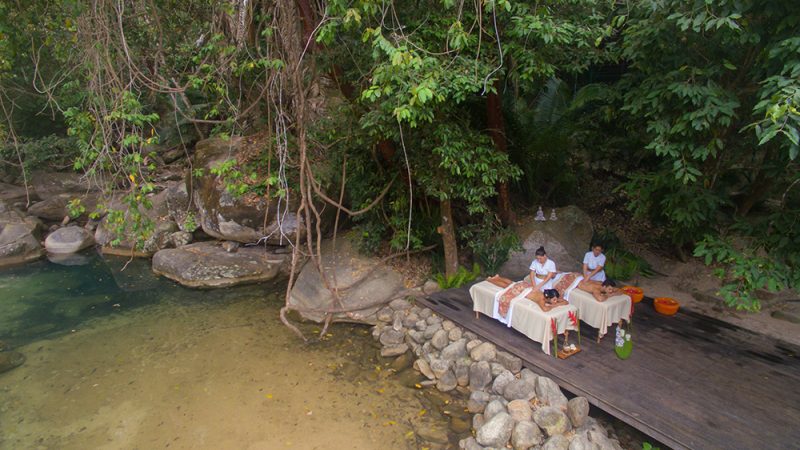 CONEXIÓN CON LA NATURALEZA