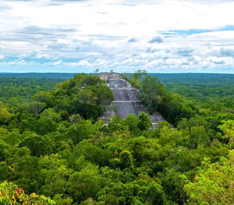 gran pirámide maya en las verdes selvas verdes de la península de yucatán en méxico llamadas Ruinas de Calakmul, uno de los lugares más singulares para visitar en méxico