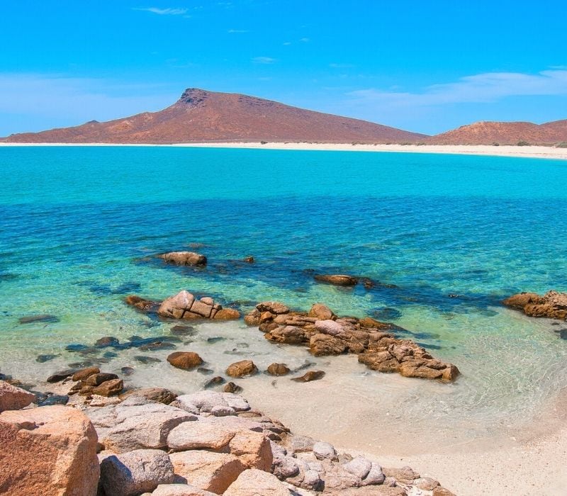 Isla Espiritu Santo Baja California Sur Mexico