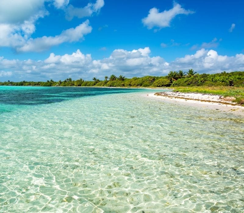 playa punta allen playa sian kaan méxico | las mejores playas de mexico