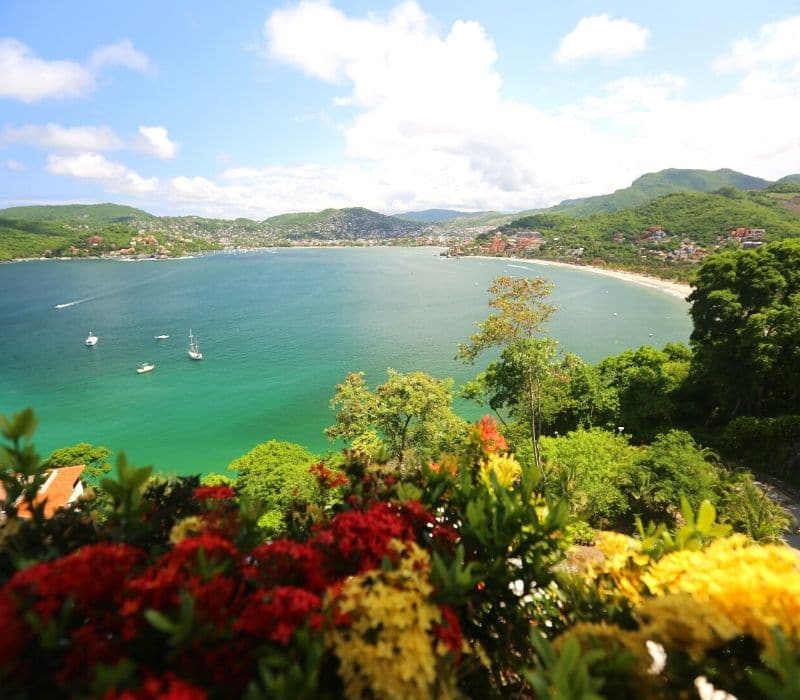 flores en primer plano y una hermosa bahía en forma de herradura con algunos veleros en el fondo, en Zihuatanejo, uno de los mejores pueblos mexicanos de playa