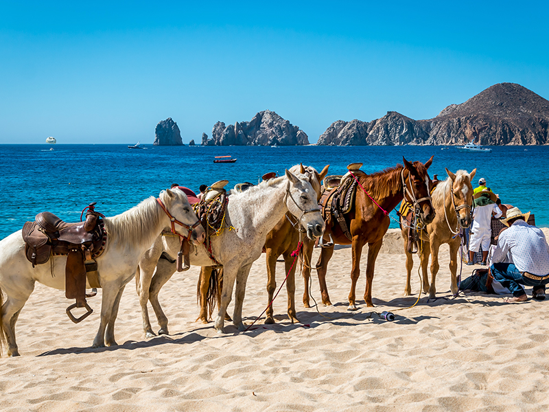 Cabalgatas en Los Cabos