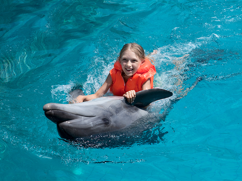 Cabo Dolphins para tus vacaciones en Los Cabos