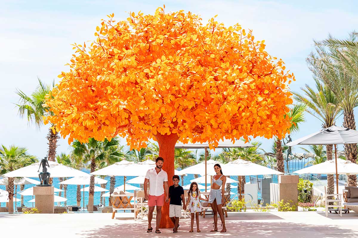 familia en garza blanca naranjo